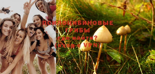 кристаллы Горняк