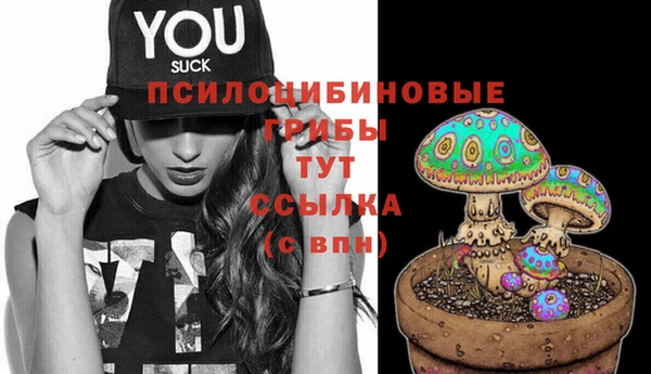 кристаллы Горняк